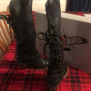 Freebird by Steven Boots